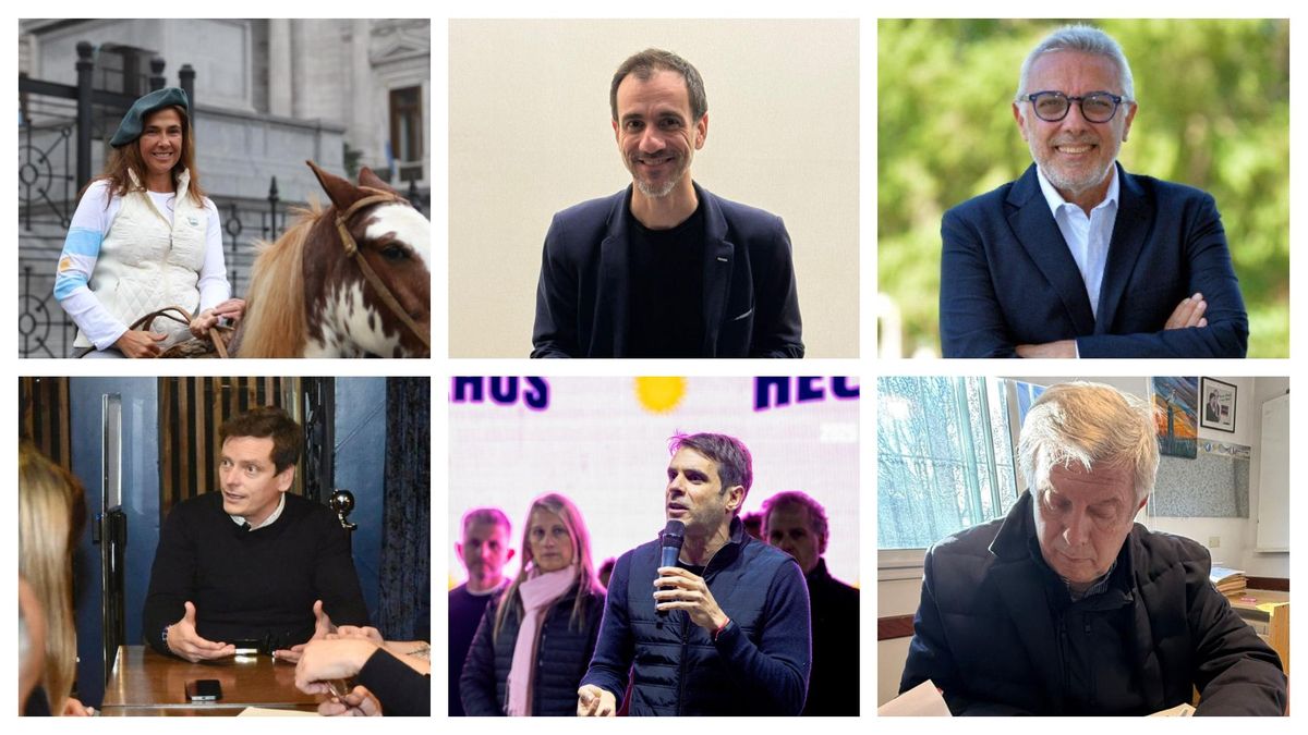 María Eugenia Talerico, Pablo Petrecca, Julio Zamora, Pablo Nicoletti, Manuel Passaglia y Mauricio D'Alessandro, todos pelean por llegar a la Legislatura bonaerense por la avenida del medio.