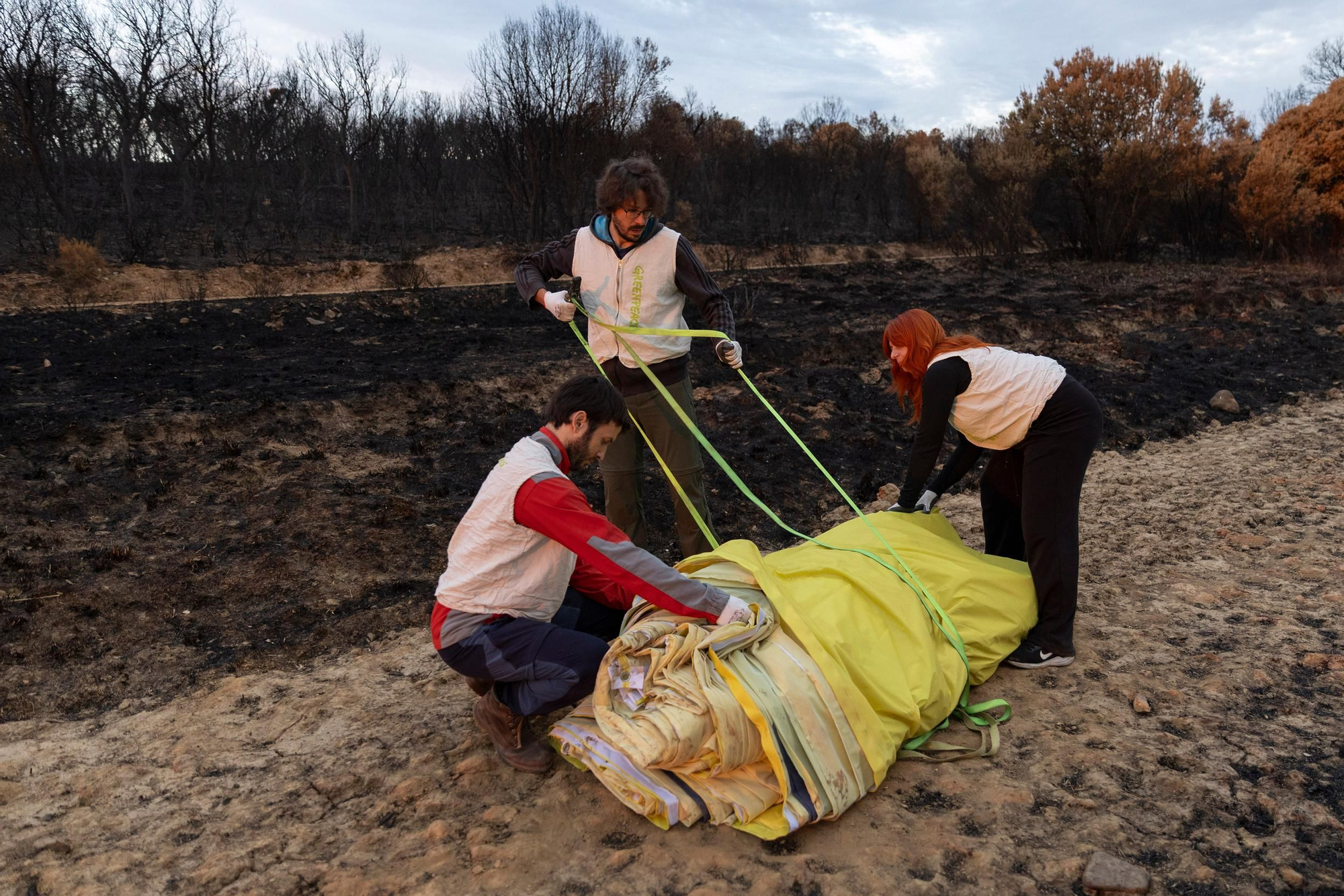 La devastación de los incendios del sur de León que impulsa la campaña internacional de Greenpeace