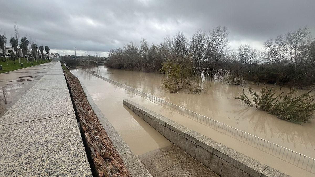 El Balcón del Guadalquivir inundado frente al Molino de Martos