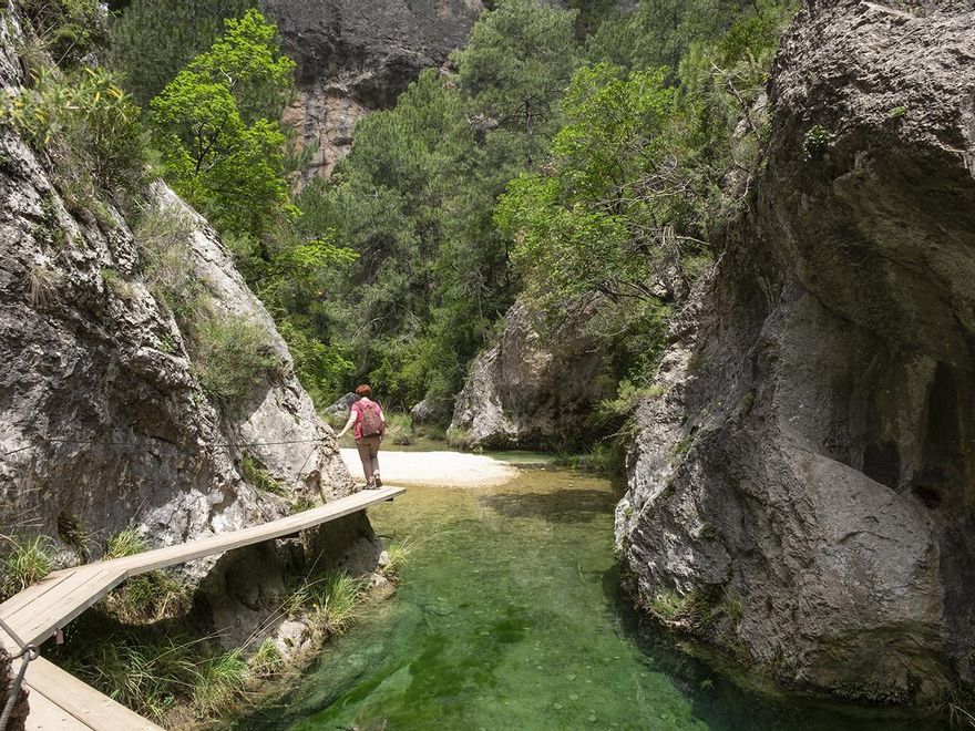 Pasarelas de madera sobre el agua en el Parrissal.