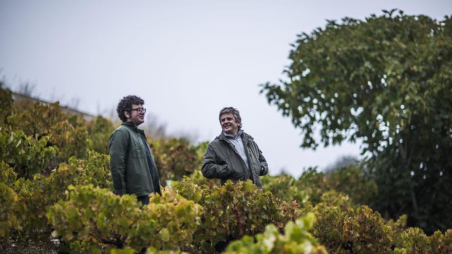 La lucha de los vinos más icónicos de España contra los molinos de viento: "Nosotros también somos cultura"