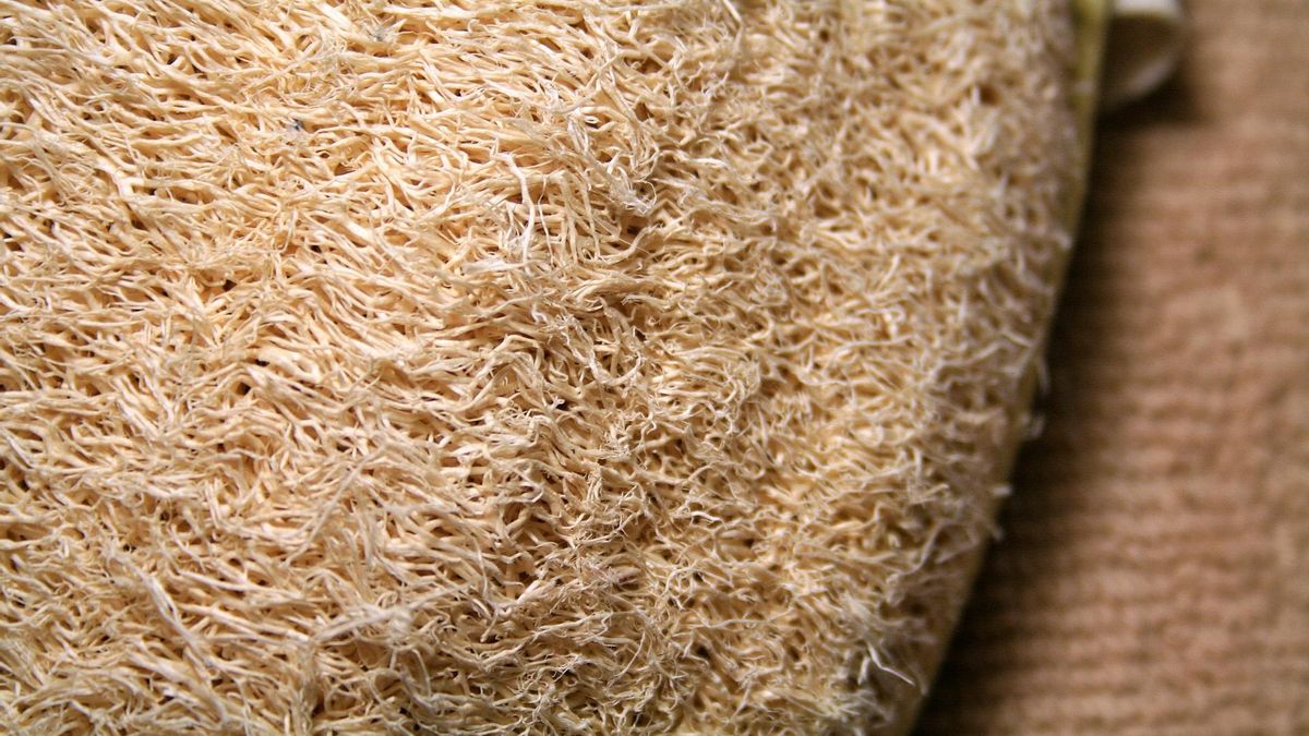 Lufa. Foto: Lynn Greyling