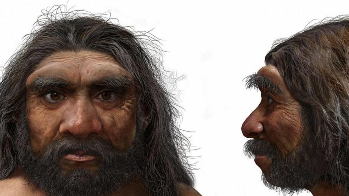 La genética y las proteínas del fósil permitieron ponerle rostro a los denisovanos