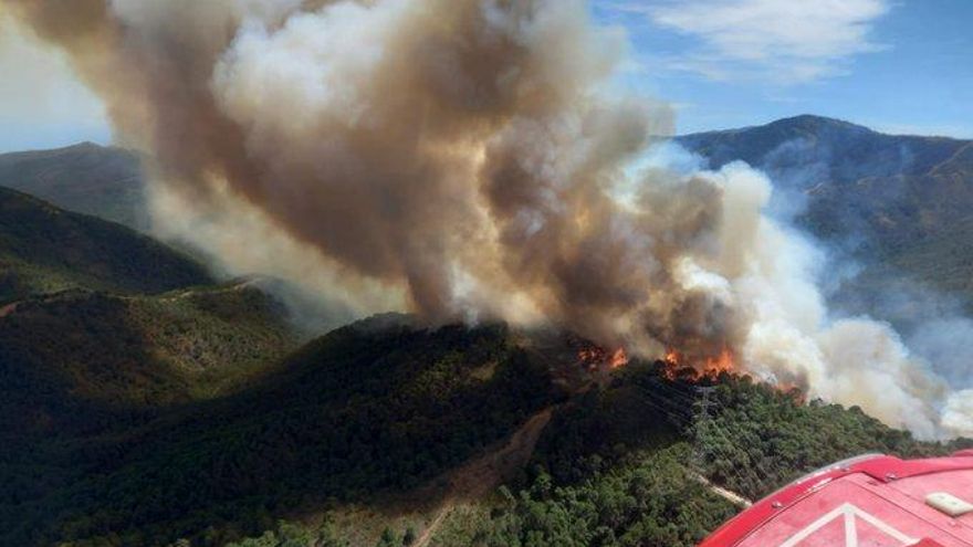 Miles de evacuados por el incendio forestal de Málaga que ha herido a tres bomberos