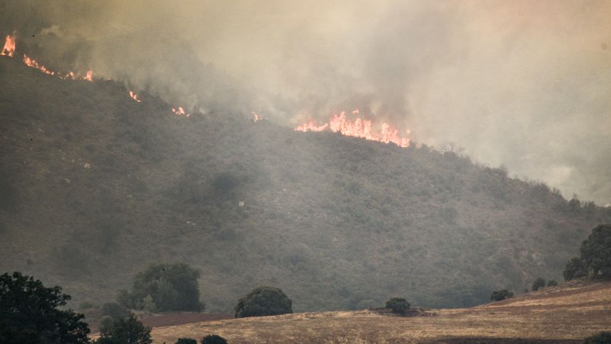 El efecto de los grandes incendios en Castilla-La Mancha, entre los proyectos de investigación de zonas despobladas