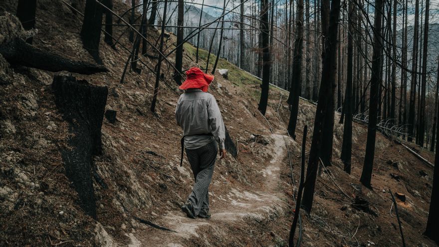 Andrea Depetri camina por un sendero del bosque incendiado.