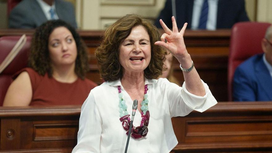 Asián (PP) defiende su "lealtad" al Gobierno canario y el PSOE la acusa de anteponer los intereses de su partido