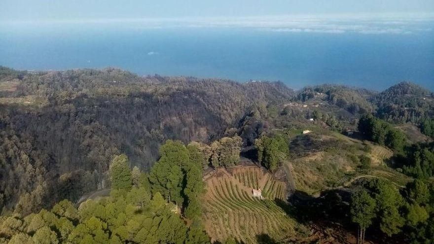 El Cabildo da por extinguido este miércoles el gran incendio forestal de Garafía dos meses después de propagación