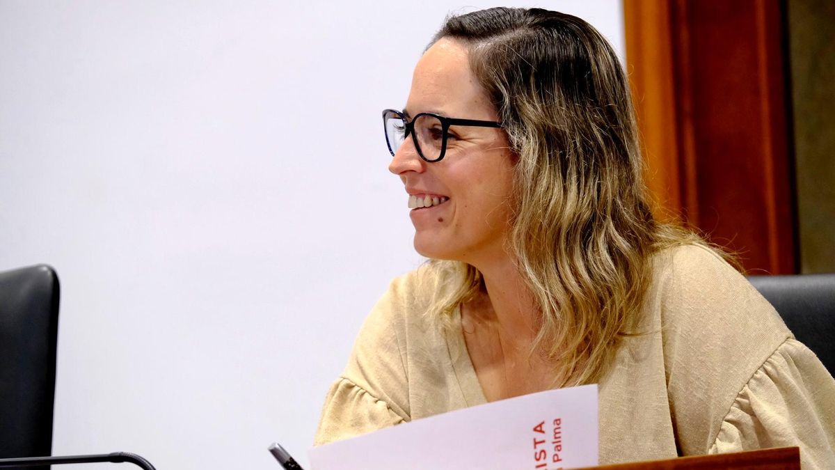 El PSOE “duda de la eficacia” de la emergencia sociosanitaria para mejorar los servicios del Cabildo de La Palma