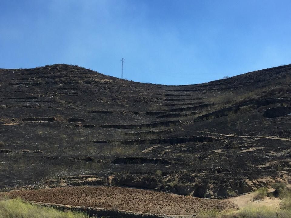 Área quemada en el incendio declarado en Gran Canaria