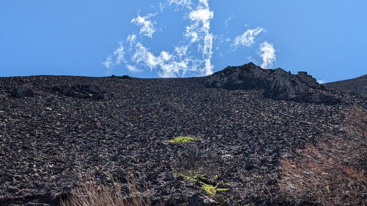 Suelo quemado en el Morredero.
