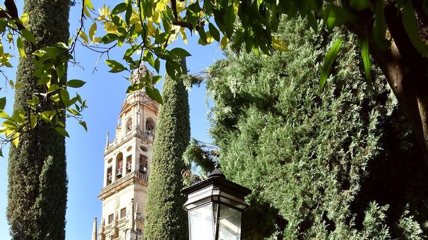 El Cabildo Catedral repara la iluminación del Patio de los Naranjos dañada por el temporal de diciembre