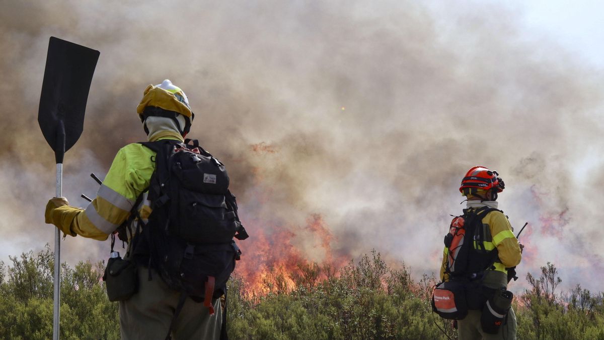 Brigadistas work on the extinction of the forest fire that affects Puercas (Zamora), in the Sierra de la Culebra, this Tuesday.