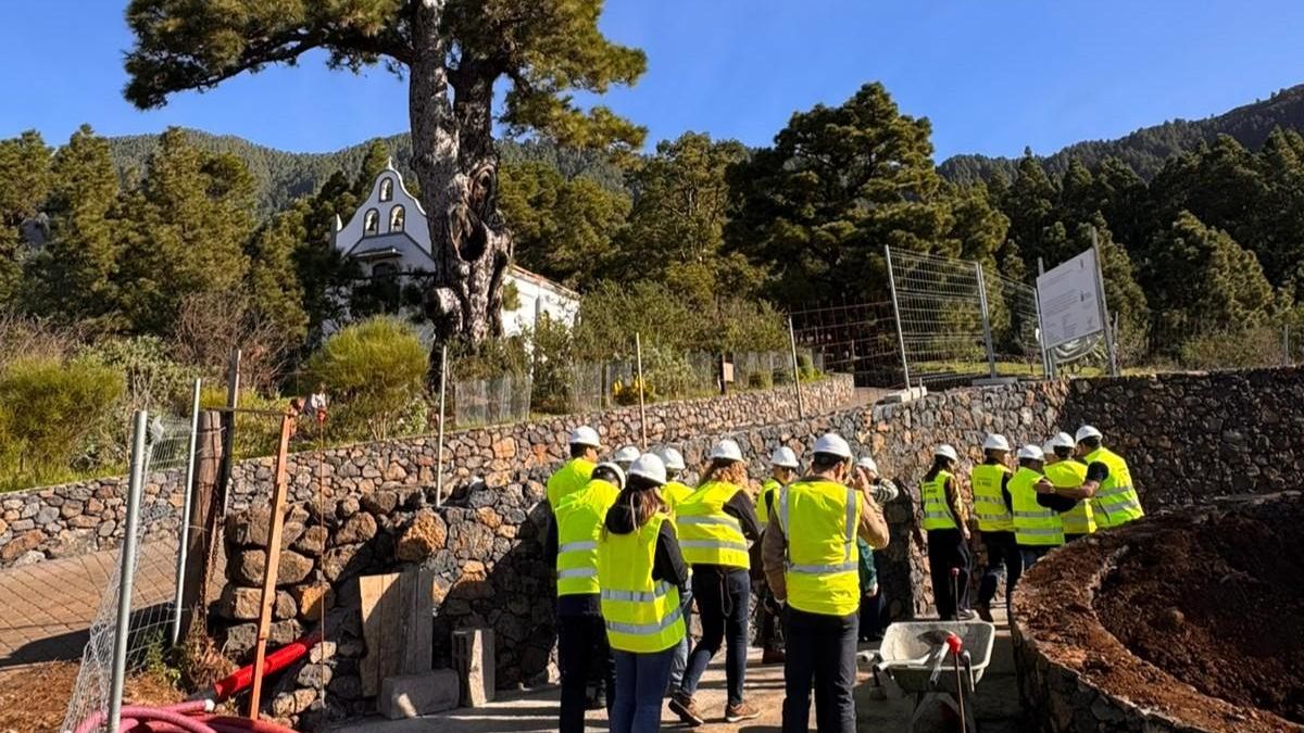 El futuro Centro del Pino de la Virgen en El Paso  ofrecerá “un recorrido por la historia forestal de Canarias