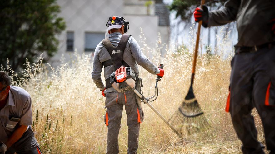 Cierra por invasión de chinches una escuela infantil del Ayuntamiento de Madrid en San Blas