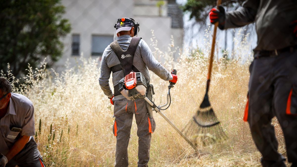 Cierra por invasión de chinches una escuela infantil del Ayuntamiento de Madrid en San Blas