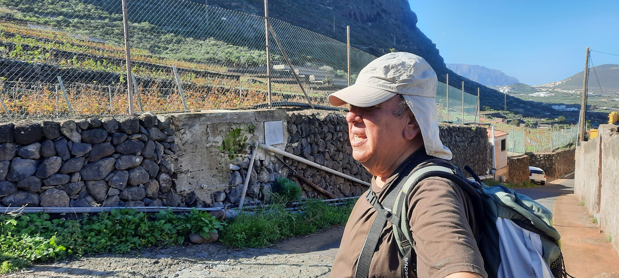 El historiador Juan Ramón Núñez observa una plantación de vides tradicionales en Garachico, en el antiguo camino real de Daute