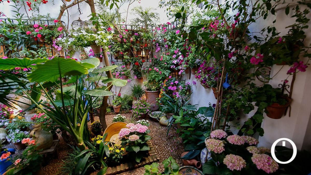 Patio Tafures 2 - 2022