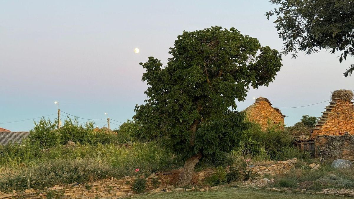 Comala o Maragatería