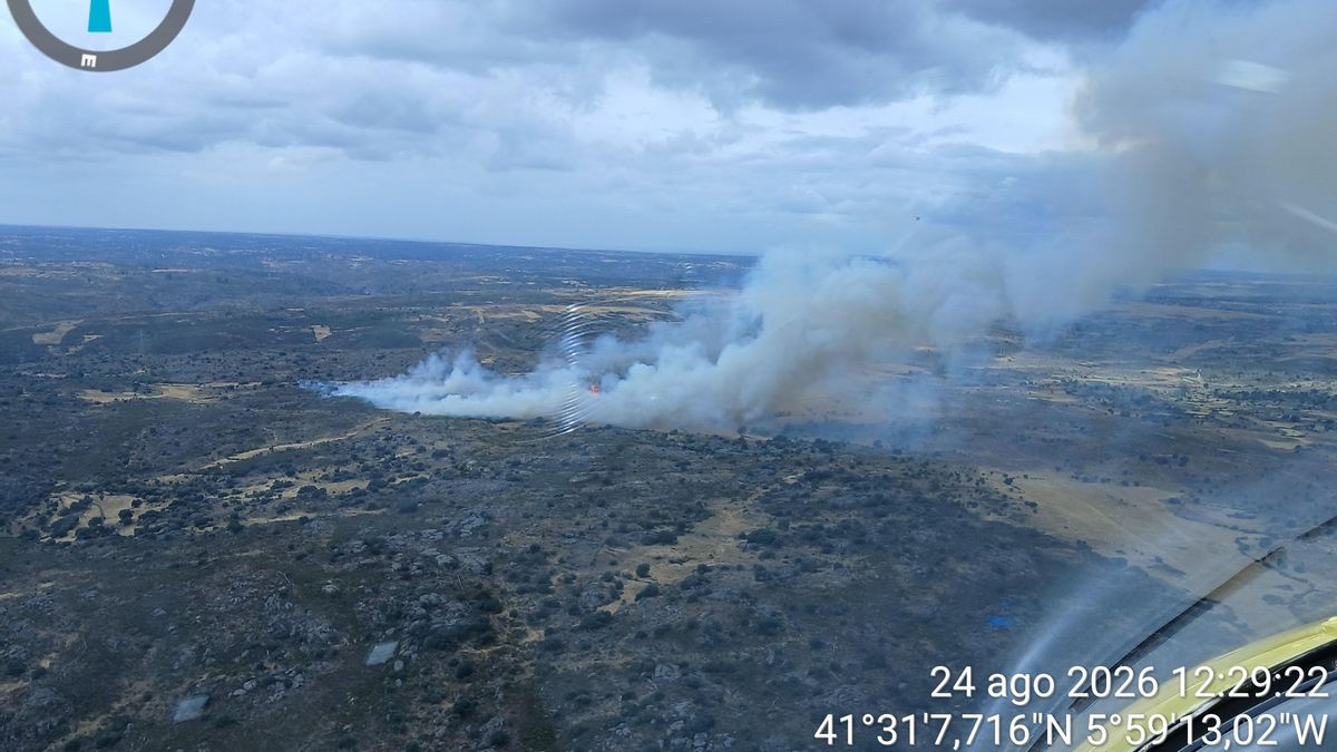 Un incendio forestal en Villalcampo, Zamora, obliga a activar el nivel 2