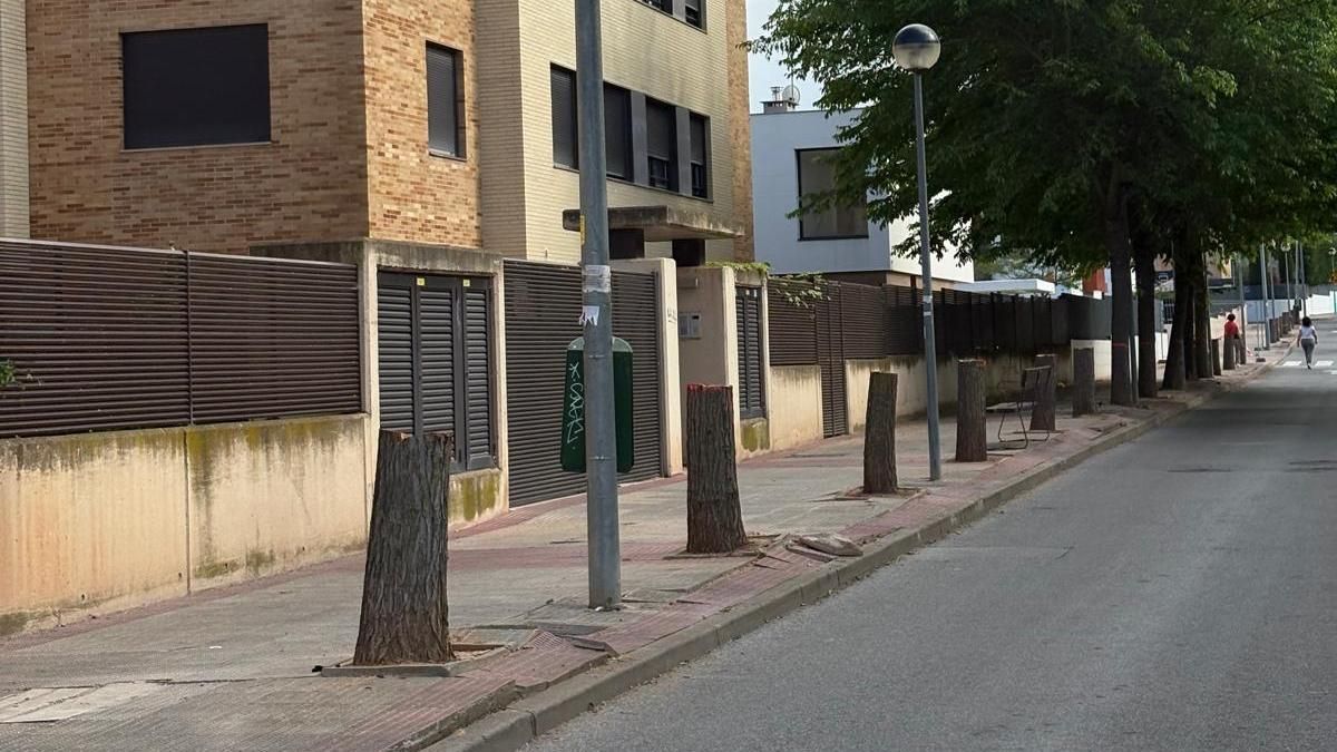 Tala de árboles en Villa Patro en Lardero