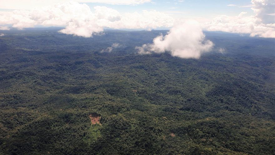 Presentan el un Plan Biorregional 2030 para proteger la Amazonia de Ecuador y Perú