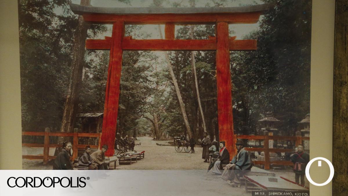 Japan’s Colorful Opening: A Photographic Journey