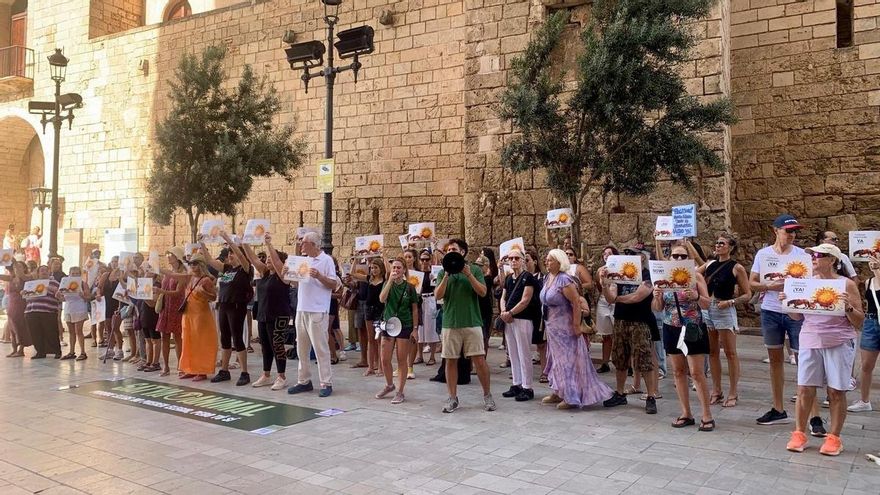 Decenas de personas exigen el fin de los coches de caballos en Palma: "Vergüenza de ciudad, explotación animal"
