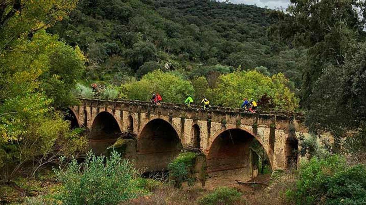 Álamos negros, fresnos, sauces y chopos flanquean las orillas del río, creando un ecosistema húmedo de gran diversidad