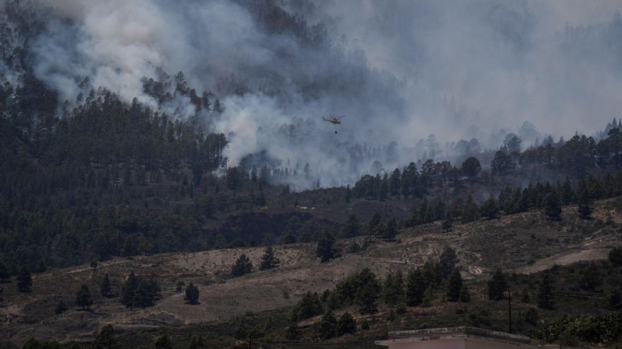 Incendio en Arico. (EFE /Ramón de la Rocha)