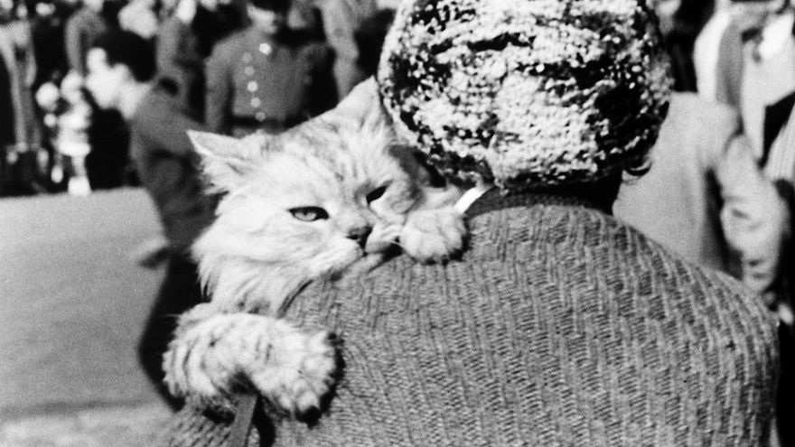 Una mujer y su gato participan en la fiesta tradicional 'Les Beneïdes' en 1961. 