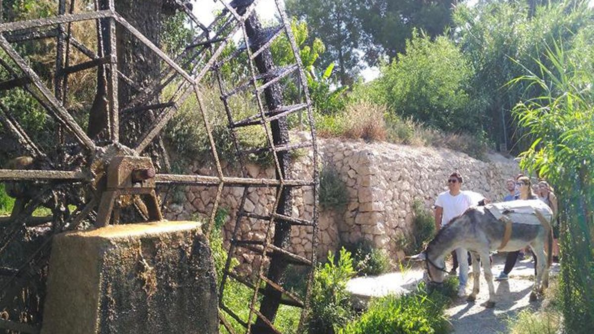 Ruta de las norias de la Vega Alta del Segura