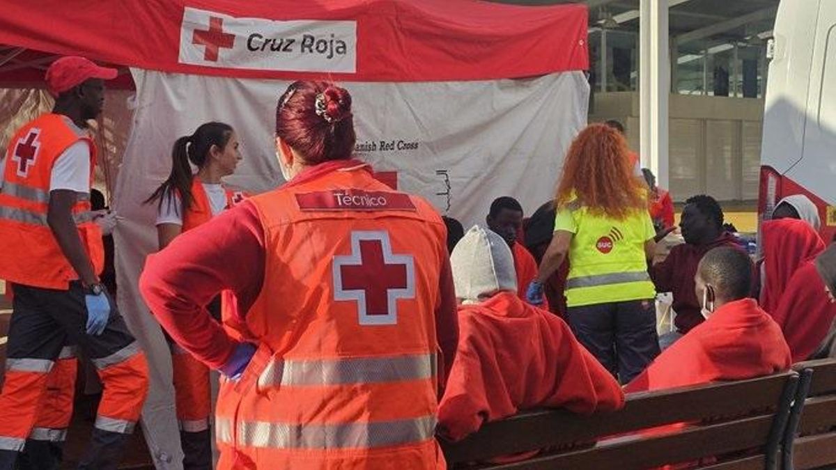 Dispositivo sanitario desplegado en el puerto de Santa Cruz de Tenerife para asistir a los rescatados