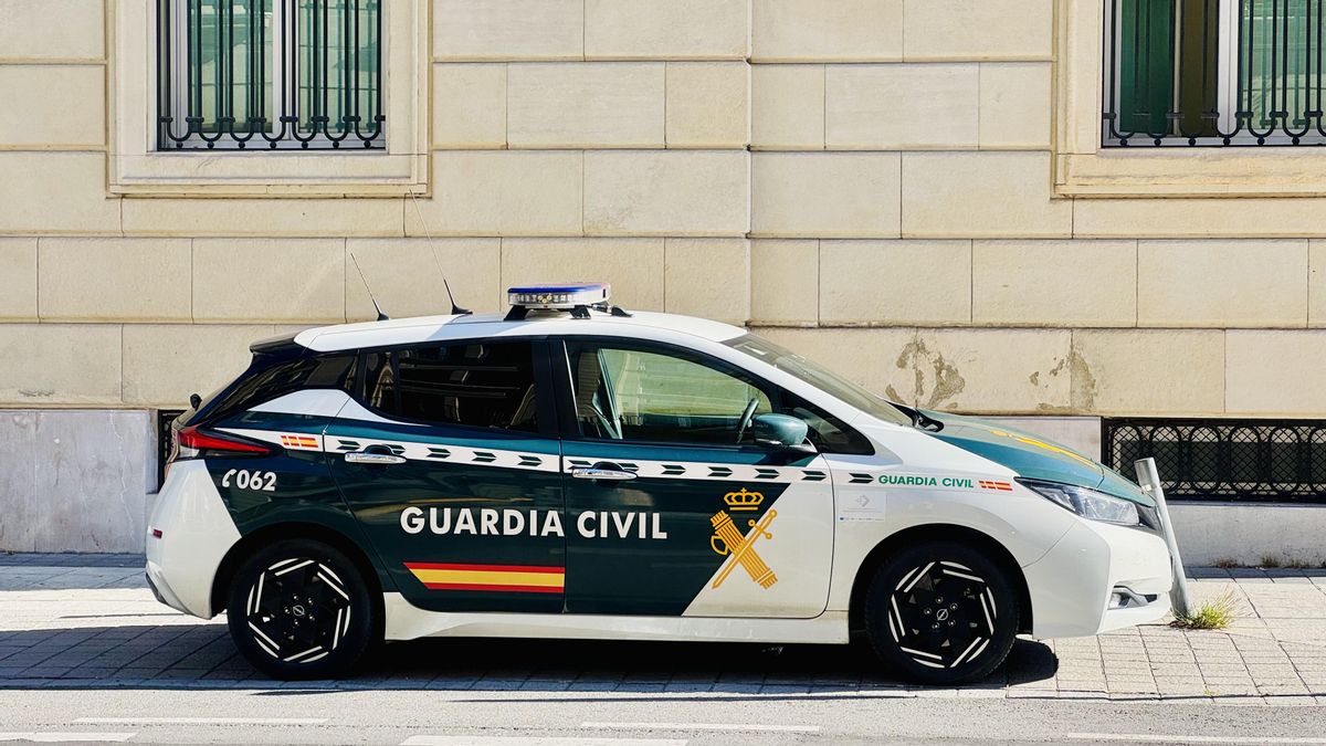 El consejero Zupiria garantiza que la Ertzaintza está preparada a "nivel técnico" contra la ciberdelincuencia
