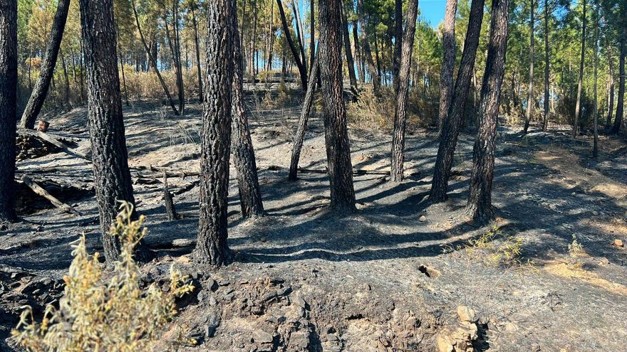 El incendio de Hurdes-Gata, 10.000 hectáreas, ya está controlado y solo queda extinguirlo