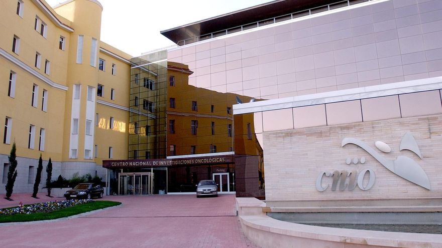 Investigadores del CNIO eliminan, por primera vez, el cáncer de páncreas en ratones