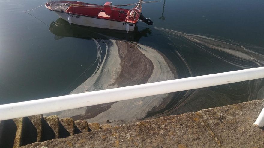 Cinco años de lucha contra los vertidos de la mayor conservera de Galicia: "Han dejado nuestras playas secas"