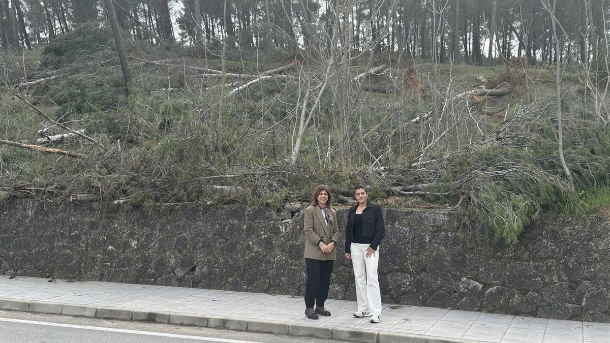 El Ayuntamiento de Benamejí pide "amparo" al Defensor ante la inseguridad y riesgo de incendio en la N-331A