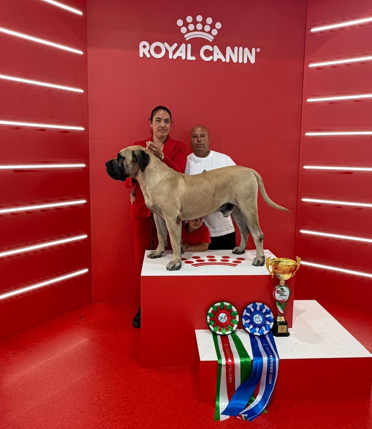 Roque de Aguayan del Mago, propiedad de Cielo de Canarias, con sus premios.