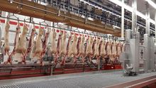 Matadero de Incarlopsa, en Taranzón (Cuenca)