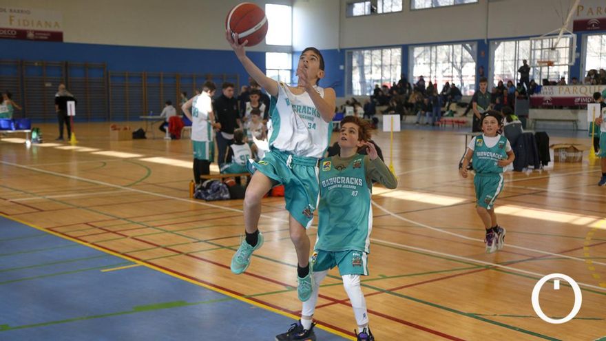 Córdoba se cita con los BabyCracks