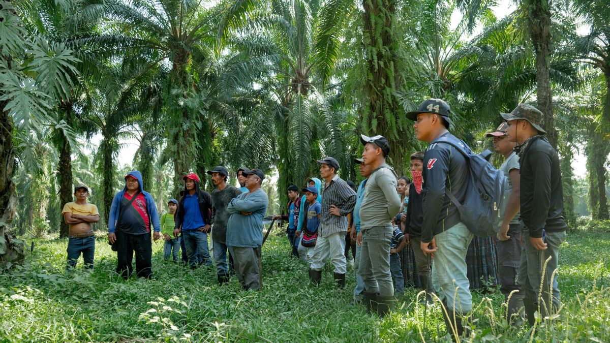 Familias indígenas ocupan la tierra durante la grabación del documental