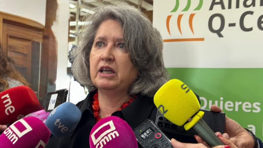 La consejera de Desarrollo Sostenible del Gobierno de Castilla-La Mancha, Mercedes Gómez