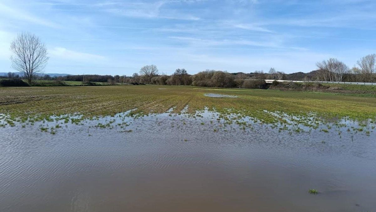 Las persistentes lluvias retrasan la siembra de los cereales de invierno en la provincia