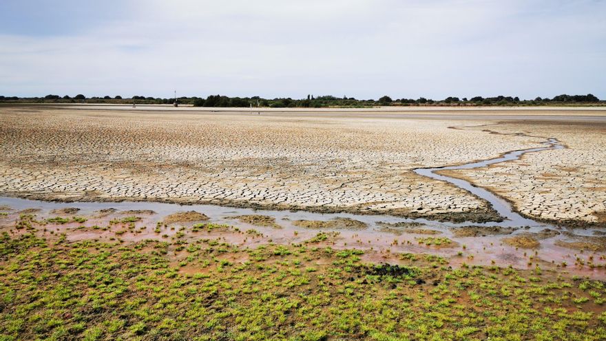 Entradas de agua a la laguna que han aparecido en cuanto ha bajado la presión turística en Matalascañas.