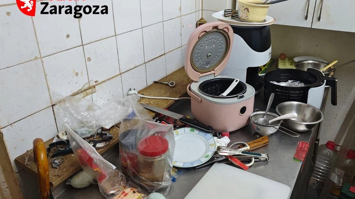 Cucarachas y comida en mal estado: cierran un bar en Zaragoza por la mala higiene en la cocina y los baños