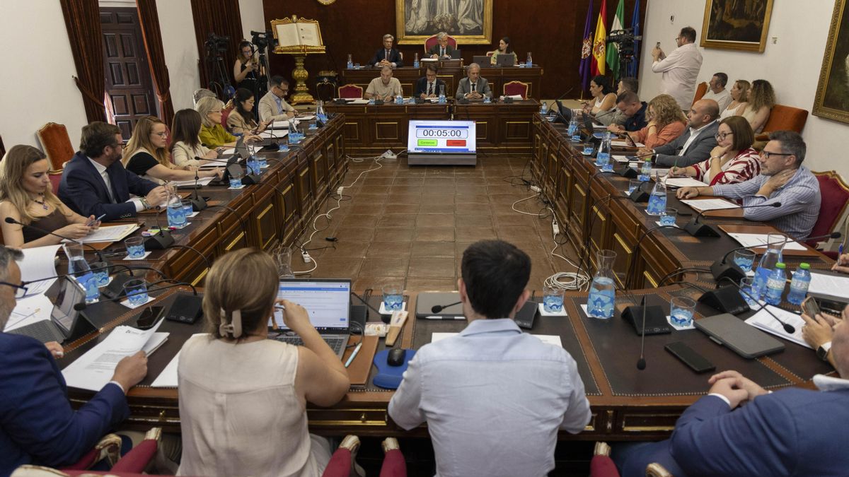 Pleno de la Diputación Provincial de Córdoba.