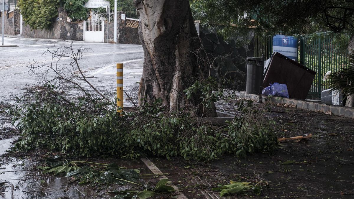 La borrasca Emilia  garantizan el riego para 2026 en gran parte de Gran Canaria