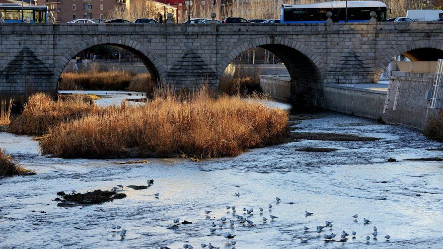 La pirotecnia mata, y la mascletà en Madrid Río será una masacre
