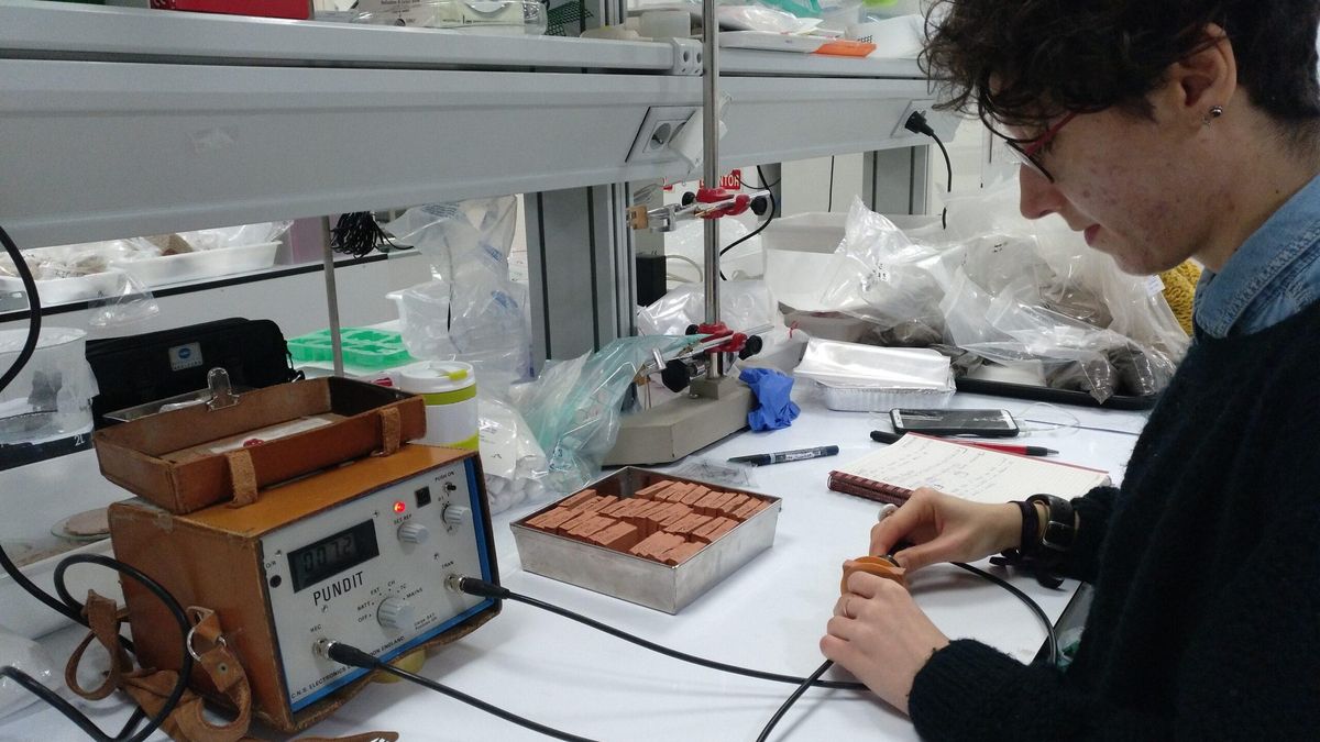 Águeda Sáenz Martínez, investigadora del CSIC en el INMA: “El patrimonio es el gran olvidado de las políticas públicas”